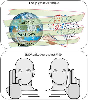 Sensorimotor Interaction Against Trauma